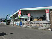 【ホームセンター】コメリ二宮店まで367ｍ