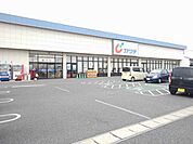【ドラッグストア】カワチ薬品田沼店まで1000ｍ