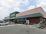 【スーパー】フレッセイ南大類店まで637ｍ
