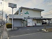 【銀行】ＪＡ京都中央 羽束師支店まで270ｍ
