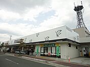 【スーパー】フレスコ亀岡安町店まで1225ｍ