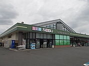 【スーパー】セイブ食彩館千波店まで1100ｍ