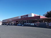 【ホームセンター】ホームセンター山新水戸駅南店まで1200ｍ