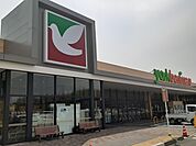 【スーパー】ヨークベニマル友部東平店まで1124ｍ