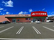 【スーパー】クスリのアオキまで190ｍ