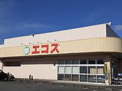 【スーパー】エコス金沢店まで700ｍ