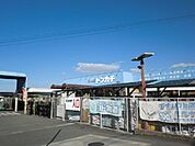 【ホームセンター】ミスタートンカチ江場店まで1000ｍ