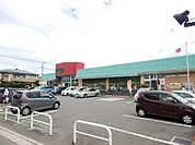 【スーパー】しまむらストアー中原御殿店まで876ｍ