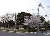【公園】原崎公園まで1000ｍ