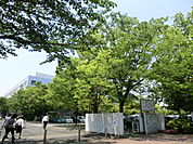 【総合病院】東京都保健医療公社東部地域病院まで682ｍ