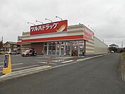 【ドラッグストア】ツルハドラッグ水戸東前店まで650ｍ