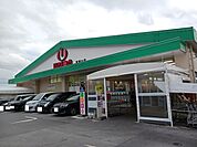【スーパー】ユニオン真嘉比店まで500ｍ