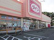 ダイソー上三川店まで1000ｍ