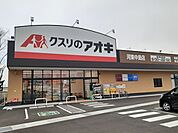 【ドラッグストア】クスリのアオキ河東中島店まで1400ｍ