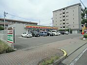 【コンビニエンスストア】デイリーヤマザキまで259ｍ