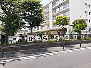 【幼稚園】ひらの保育園まで116ｍ