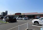 【スーパー】せんどう茂原店まで1000ｍ