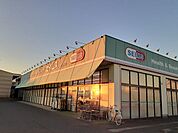 【ドラッグストア】ドラッグセイムス茂原西店まで900ｍ