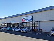 【ドラッグストア】カワチ薬品 針ヶ谷店まで1000ｍ