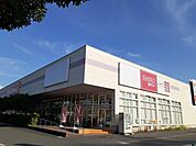 DAISO　イオンタウン野田まで1358ｍ