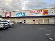 【ドラッグストア】ウエルシア　茶町店まで550ｍ