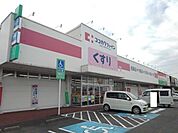 【ドラッグストア】ココカラファイン岡田店まで344ｍ