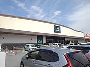 【スーパー】アマノパークス甲府東店まで700ｍ