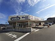 【ドラッグストア】ダックス亀岡篠店まで750ｍ