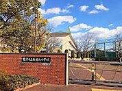 【小学校】常滑市立西浦北小学校まで560ｍ