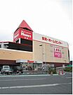 【ホームセンター】島忠ホームズ・オーケーまで350ｍ