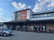 【スーパー】シェフカワカミ池田店まで650ｍ
