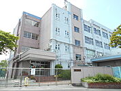 【小学校】江戸川区立新田小学校まで870ｍ