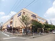 【スーパー】パレマルシェ中村店まで1125ｍ