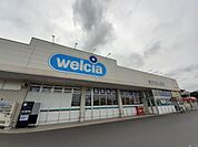 【ドラッグストア】ウエルシア土浦高津店まで1750ｍ