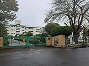 【小学校】湖北小学校まで229ｍ