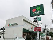 【スーパー】マルエツ根岸店まで256ｍ