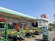 【ホームセンター】コメリまで350ｍ