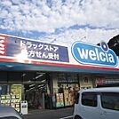 【ドラッグストア】ウエルシア柏名戸ヶ谷薬局まで920ｍ