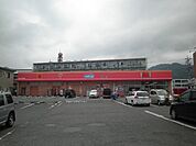【ドラッグストア】ウインダーランド高部店まで379ｍ
