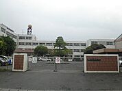 【小学校】静岡市立清水高部東小学校まで339ｍ