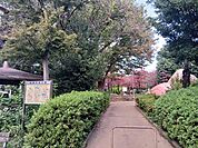 【公園】田無市民公園まで177ｍ