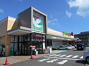 【スーパー】ヨークマート秦野緑町店まで972ｍ