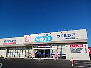 【ドラッグストア】ウエルシア香取佐原店まで500ｍ