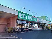 【スーパー】生鮮＆業務スーパーまで1200ｍ
