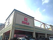 【スーパー】かましん自治医大店まで750ｍ