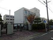 【小学校】名古屋市立太子小学校まで749ｍ