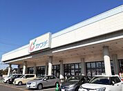 【ドラッグストア】カワチ　小山東店まで750ｍ