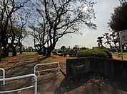 【公園】大利根中央公園まで70ｍ