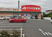 【ドラッグストア】クスリのアオキまで750ｍ