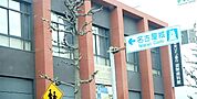 【銀行】三菱東京ＵＦＪ銀行貨幣資料館まで90ｍ